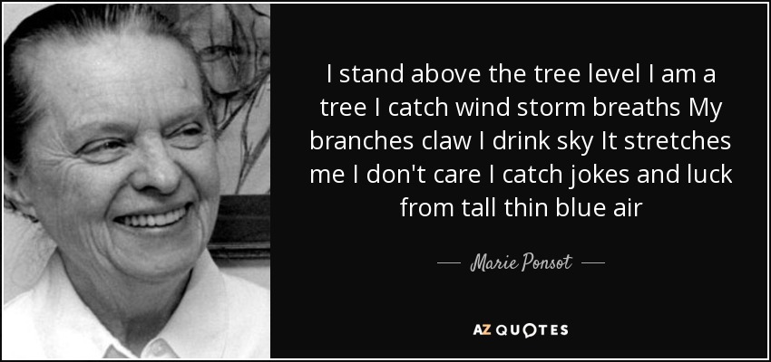 I stand above the tree level I am a tree I catch wind storm breaths My branches claw I drink sky It stretches me I don't care I catch jokes and luck from tall thin blue air - Marie Ponsot