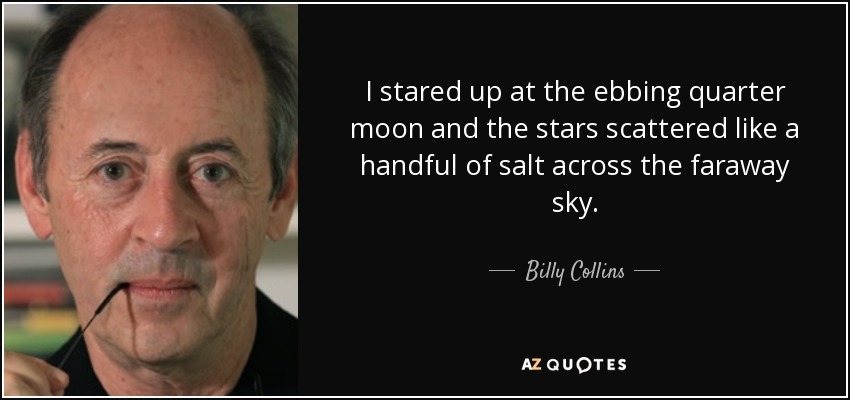 I stared up at the ebbing quarter moon and the stars scattered like a handful of salt across the faraway sky. - Billy Collins