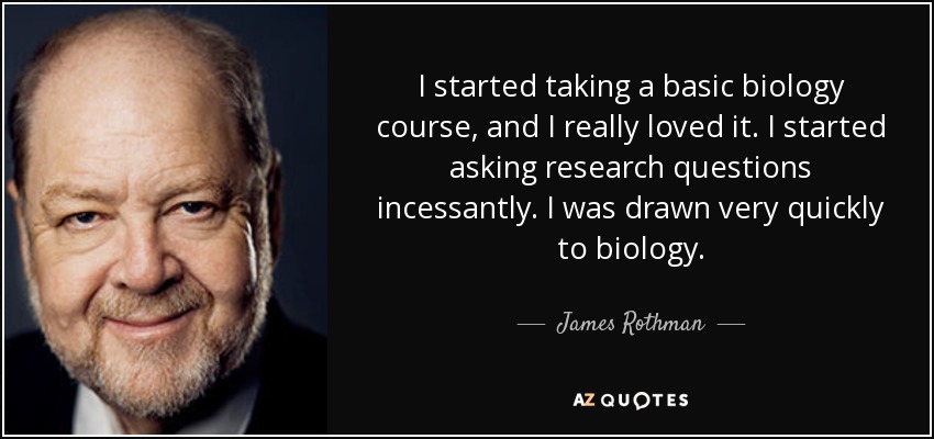 I started taking a basic biology course, and I really loved it. I started asking research questions incessantly. I was drawn very quickly to biology. - James Rothman
