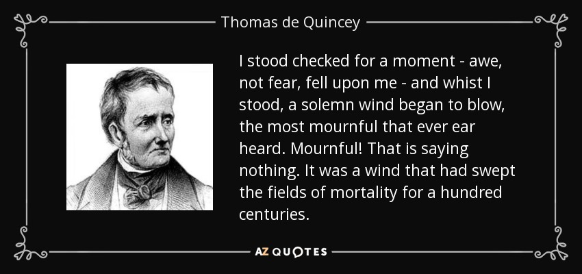 I stood checked for a moment - awe, not fear, fell upon me - and whist I stood, a solemn wind began to blow, the most mournful that ever ear heard. Mournful! That is saying nothing. It was a wind that had swept the fields of mortality for a hundred centuries. - Thomas de Quincey