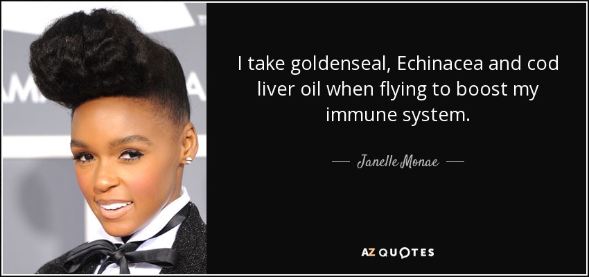 I take goldenseal, Echinacea and cod liver oil when flying to boost my immune system. - Janelle Monae