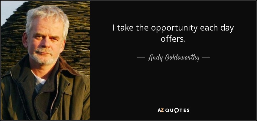 I take the opportunity each day offers. - Andy Goldsworthy