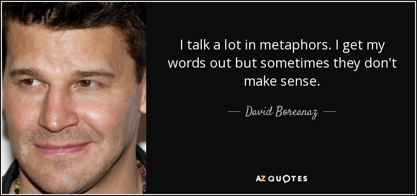 I talk a lot in metaphors. I get my words out but sometimes they don't make sense. - David Boreanaz