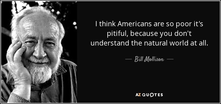 I think Americans are so poor it's pitiful, because you don't understand the natural world at all. - Bill Mollison