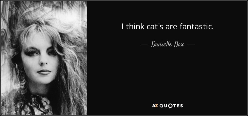 I think cat's are fantastic. - Danielle Dax