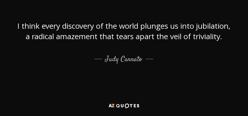 I think every discovery of the world plunges us into jubilation, a radical amazement that tears apart the veil of triviality. - Judy Cannato