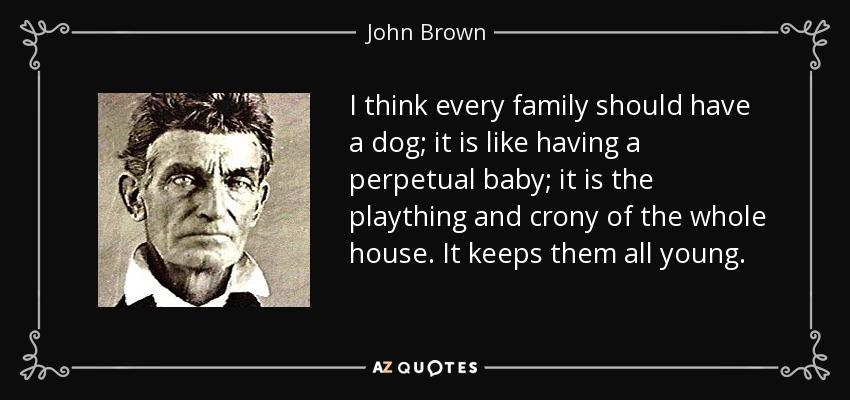 I think every family should have a dog; it is like having a perpetual baby; it is the plaything and crony of the whole house. It keeps them all young. - John Brown
