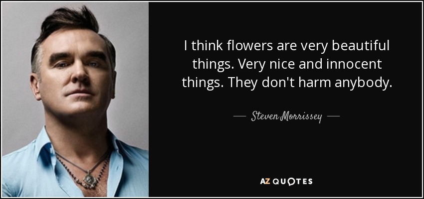 I think flowers are very beautiful things. Very nice and innocent things. They don't harm anybody. - Steven Morrissey