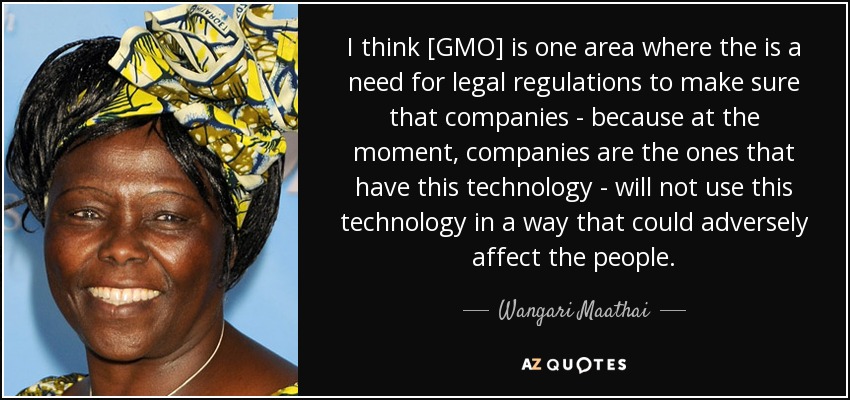 I think [GMO] is one area where the is a need for legal regulations to make sure that companies - because at the moment, companies are the ones that have this technology - will not use this technology in a way that could adversely affect the people. - Wangari Maathai