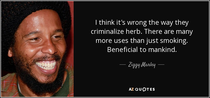 I think it's wrong the way they criminalize herb. There are many more uses than just smoking. Beneficial to mankind. - Ziggy Marley