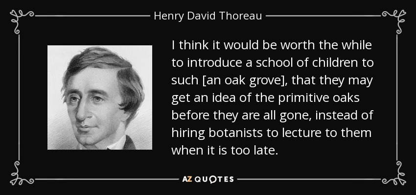 I think it would be worth the while to introduce a school of children to such [an oak grove], that they may get an idea of the primitive oaks before they are all gone, instead of hiring botanists to lecture to them when it is too late. - Henry David Thoreau