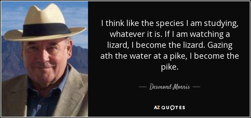 I think like the species I am studying, whatever it is. If I am watching a lizard, I become the lizard. Gazing ath the water at a pike, I become the pike. - Desmond Morris