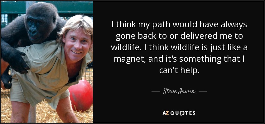 I think my path would have always gone back to or delivered me to wildlife. I think wildlife is just like a magnet, and it's something that I can't help. - Steve Irwin