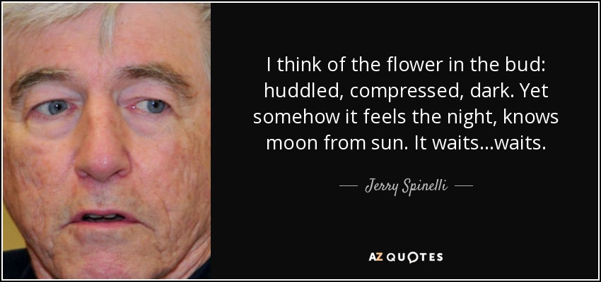 I think of the flower in the bud: huddled, compressed, dark. Yet somehow it feels the night, knows moon from sun. It waits...waits. - Jerry Spinelli