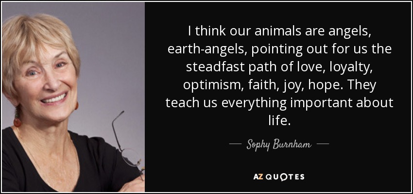 I think our animals are angels, earth-angels, pointing out for us the steadfast path of love, loyalty, optimism, faith, joy, hope. They teach us everything important about life. - Sophy Burnham