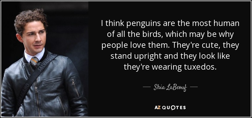 I think penguins are the most human of all the birds, which may be why people love them. They're cute, they stand upright and they look like they're wearing tuxedos. - Shia LaBeouf