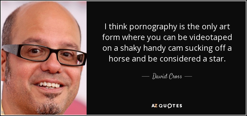 I think pornography is the only art form where you can be videotaped on a shaky handy cam sucking off a horse and be considered a star. - David Cross