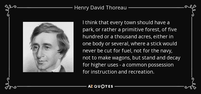 I think that every town should have a park, or rather a primitive forest, of five hundred or a thousand acres, either in one body or several, where a stick would never be cut for fuel, not for the navy, not to make wagons, but stand and decay for higher uses - a common possession for instruction and recreation. - Henry David Thoreau