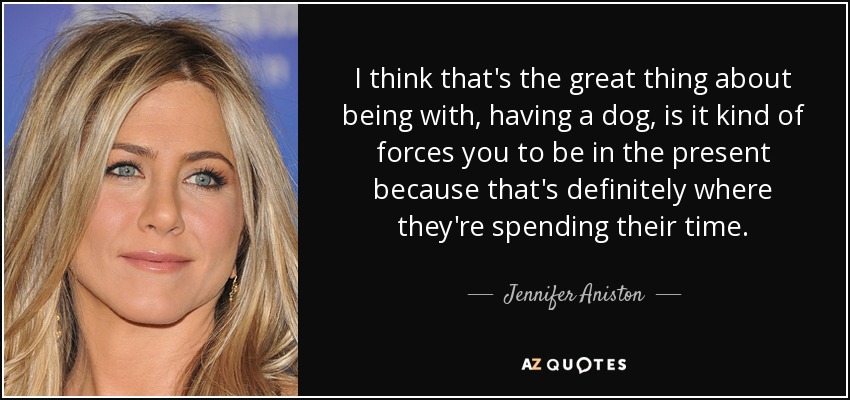 I think that's the great thing about being with, having a dog, is it kind of forces you to be in the present because that's definitely where they're spending their time. - Jennifer Aniston
