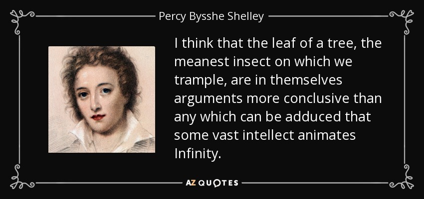 I think that the leaf of a tree, the meanest insect on which we trample, are in themselves arguments more conclusive than any which can be adduced that some vast intellect animates Infinity. - Percy Bysshe Shelley