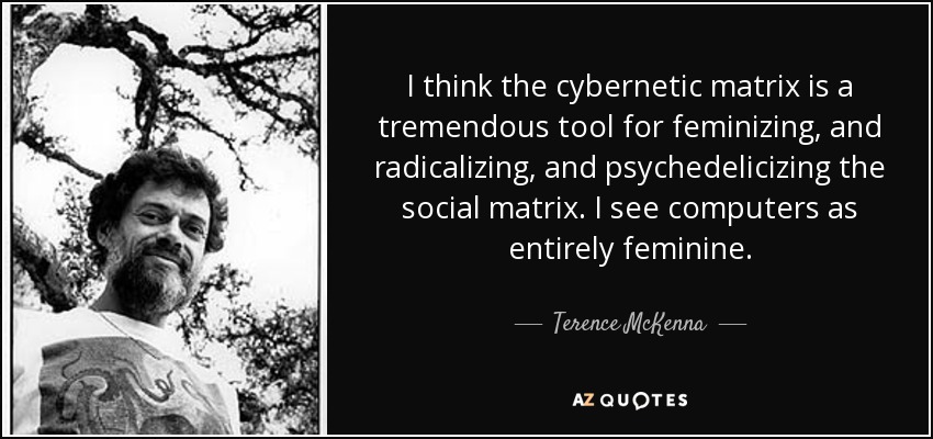 I think the cybernetic matrix is a tremendous tool for feminizing, and radicalizing, and psychedelicizing the social matrix. I see computers as entirely feminine. - Terence McKenna