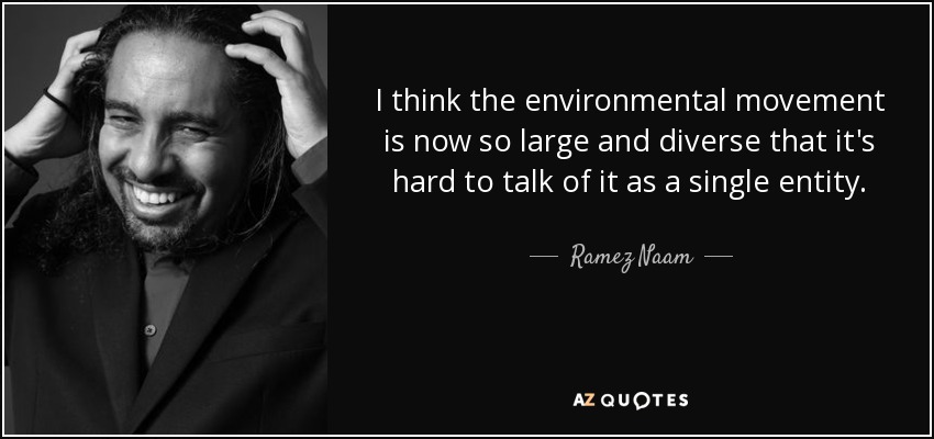 I think the environmental movement is now so large and diverse that it's hard to talk of it as a single entity. - Ramez Naam
