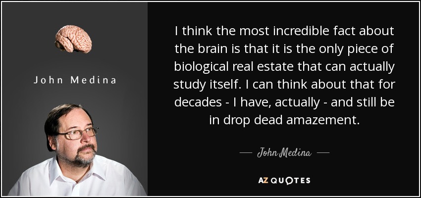 I think the most incredible fact about the brain is that it is the only piece of biological real estate that can actually study itself. I can think about that for decades - I have, actually - and still be in drop dead amazement. - John Medina