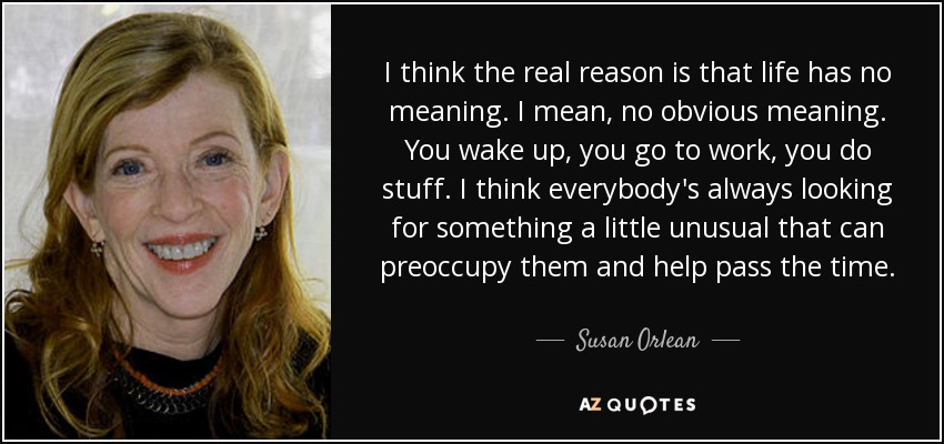 I think the real reason is that life has no meaning. I mean, no obvious meaning. You wake up, you go to work, you do stuff. I think everybody's always looking for something a little unusual that can preoccupy them and help pass the time. - Susan Orlean