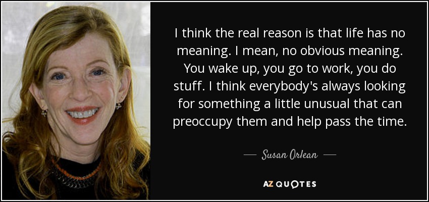 I think the real reason is that life has no meaning. I mean, no obvious meaning. You wake up, you go to work, you do stuff. I think everybody's always looking for something a little unusual that can preoccupy them and help pass the time. - Susan Orlean