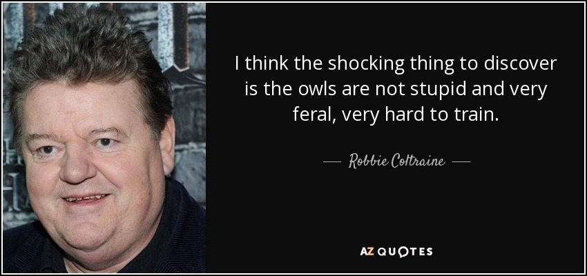 I think the shocking thing to discover is the owls are not stupid and very feral, very hard to train. - Robbie Coltraine
