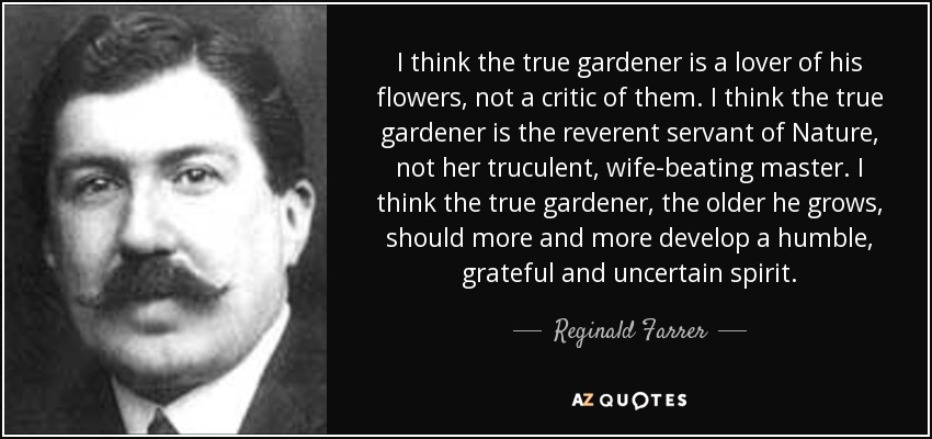 I think the true gardener is a lover of his flowers, not a critic of them. I think the true gardener is the reverent servant of Nature, not her truculent, wife-beating master. I think the true gardener, the older he grows, should more and more develop a humble, grateful and uncertain spirit. - Reginald Farrer