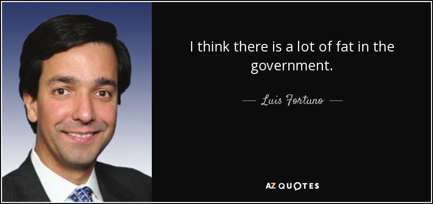 I think there is a lot of fat in the government. - Luis Fortuno