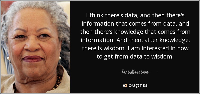 I think there's data, and then there's information that comes from data, and then there's knowledge that comes from information. And then, after knowledge, there is wisdom. I am interested in how to get from data to wisdom. - Toni Morrison