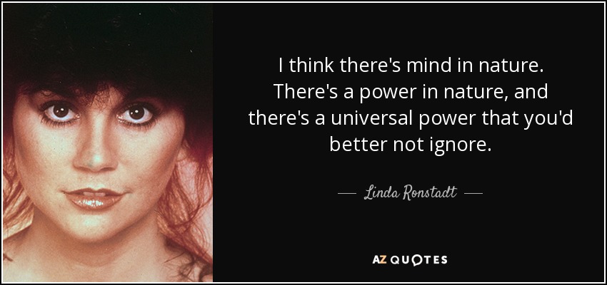 I think there's mind in nature. There's a power in nature, and there's a universal power that you'd better not ignore. - Linda Ronstadt