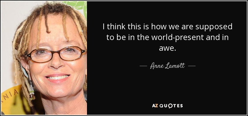 I think this is how we are supposed to be in the world-present and in awe. - Anne Lamott