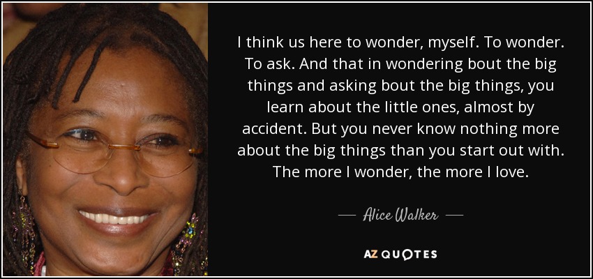 I think us here to wonder, myself. To wonder. To ask. And that in wondering bout the big things and asking bout the big things, you learn about the little ones, almost by accident. But you never know nothing more about the big things than you start out with. The more I wonder, the more I love. - Alice Walker