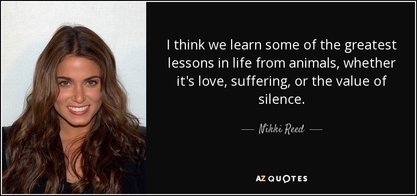 I think we learn some of the greatest lessons in life from animals, whether it's love, suffering, or the value of silence. - Nikki Reed