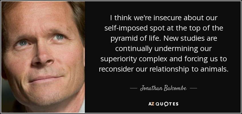 I think we're insecure about our self-imposed spot at the top of the pyramid of life. New studies are continually undermining our superiority complex and forcing us to reconsider our relationship to animals. - Jonathan Balcombe
