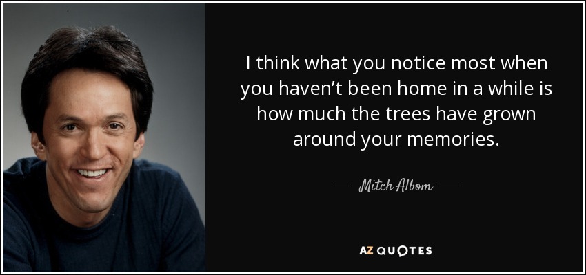 I think what you notice most when you haven’t been home in a while is how much the trees have grown around your memories. - Mitch Albom