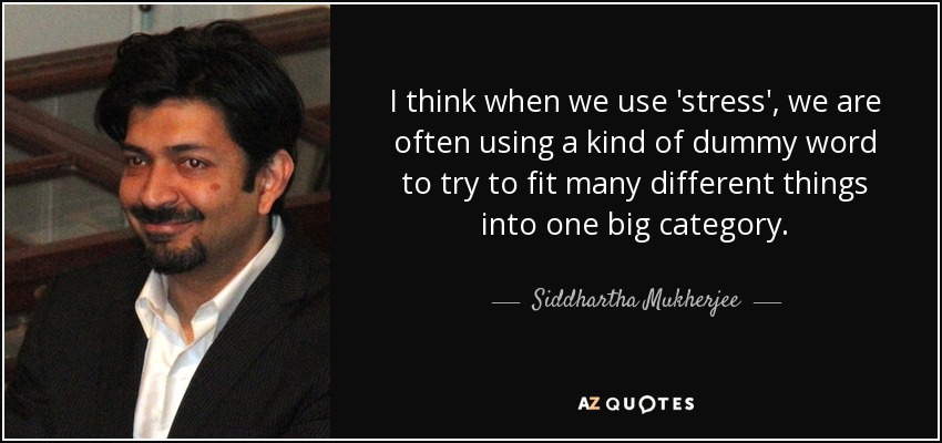 I think when we use 'stress', we are often using a kind of dummy word to try to fit many different things into one big category. - Siddhartha Mukherjee