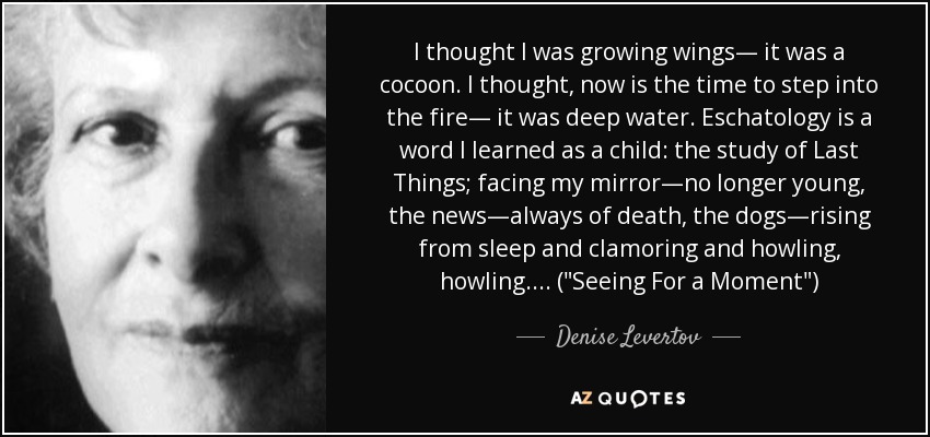 I thought I was growing wings— it was a cocoon. I thought, now is the time to step into the fire— it was deep water. Eschatology is a word I learned as a child: the study of Last Things; facing my mirror—no longer young, the news—always of death, the dogs—rising from sleep and clamoring and howling, howling.... (