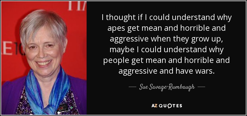I thought if I could understand why apes get mean and horrible and aggressive when they grow up, maybe I could understand why people get mean and horrible and aggressive and have wars. - Sue Savage-Rumbaugh