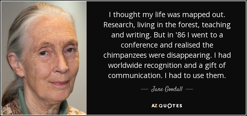 I thought my life was mapped out. Research, living in the forest, teaching and writing. But in '86 I went to a conference and realised the chimpanzees were disappearing. I had worldwide recognition and a gift of communication. I had to use them. - Jane Goodall