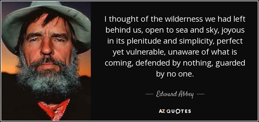 I thought of the wilderness we had left behind us, open to sea and sky, joyous in its plenitude and simplicity, perfect yet vulnerable, unaware of what is coming, defended by nothing, guarded by no one. - Edward Abbey