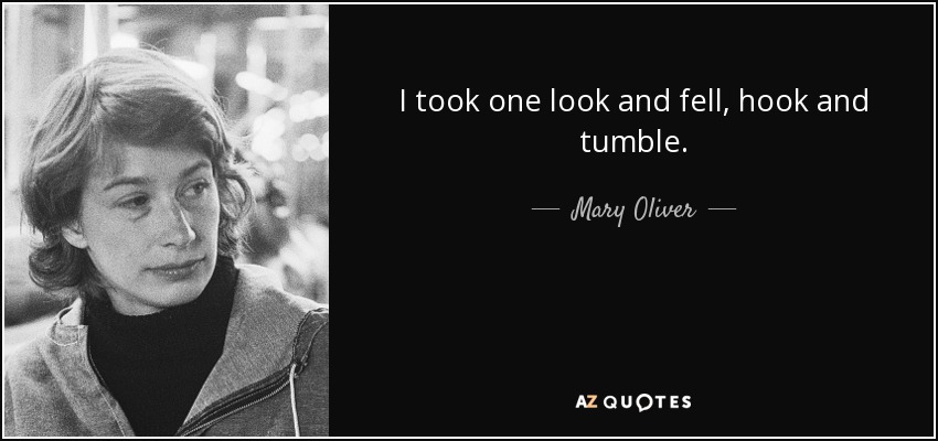 I took one look and fell, hook and tumble. - Mary Oliver