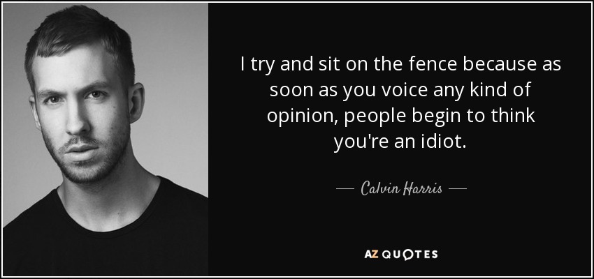 I try and sit on the fence because as soon as you voice any kind of opinion, people begin to think you're an idiot. - Calvin Harris
