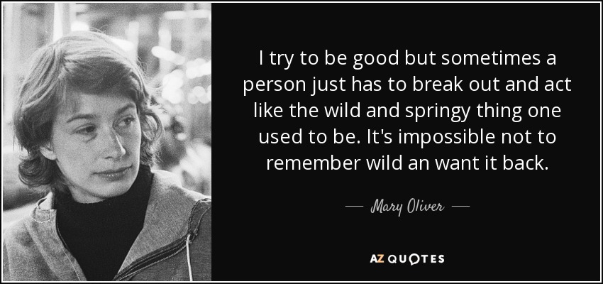 I try to be good but sometimes a person just has to break out and act like the wild and springy thing one used to be. It's impossible not to remember wild an want it back. - Mary Oliver