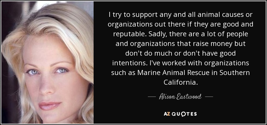 I try to support any and all animal causes or organizations out there if they are good and reputable. Sadly, there are a lot of people and organizations that raise money but don't do much or don't have good intentions. I've worked with organizations such as Marine Animal Rescue in Southern California. - Alison Eastwood