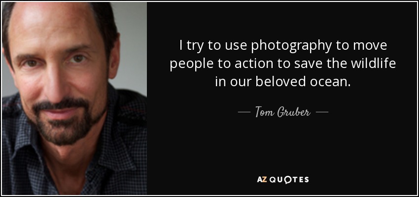 I try to use photography to move people to action to save the wildlife in our beloved ocean. - Tom Gruber