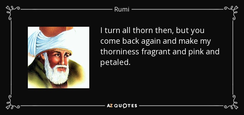 I turn all thorn then, but you come back again and make my thorniness fragrant and pink and petaled. - Rumi